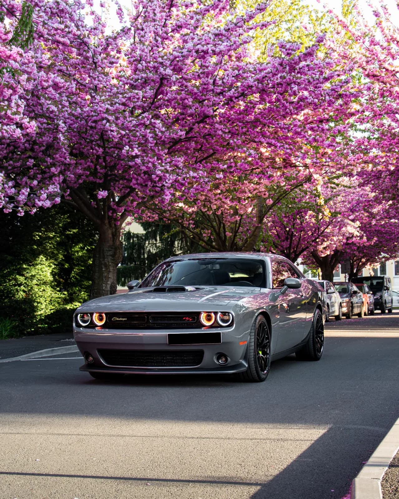 Dodge Challenger 6.4 HEMI V8 Scat Pack Shaker - obrázok 1